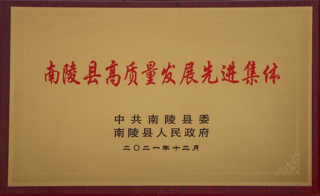 高质量发展先进集体